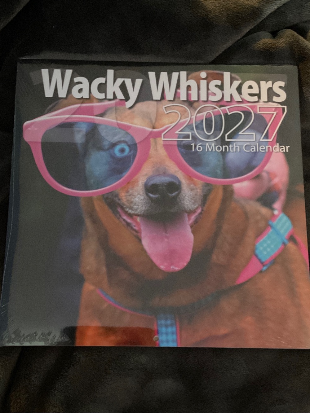 2027 wacky whiskers Calendar